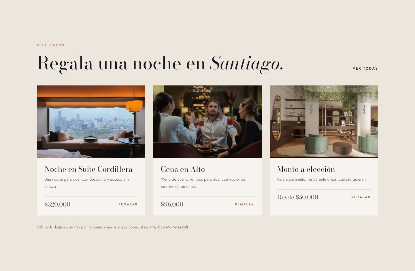 Hotel Nevado